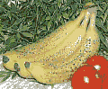 Kuva banaaneista